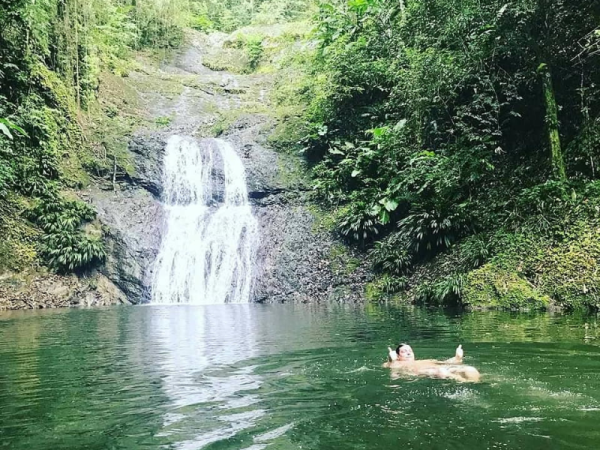 9 Twin waterfalls creating a breathtaking rainforest sight