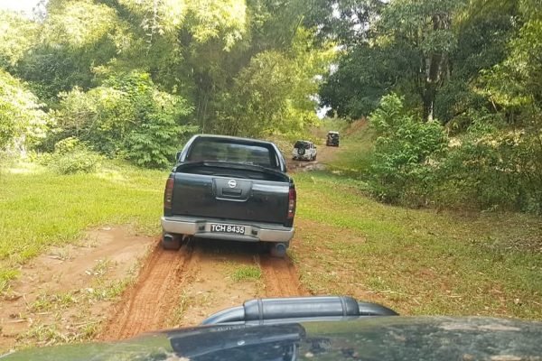 Ready for the wild – our 4x4 vehicles conquering rough terrain.